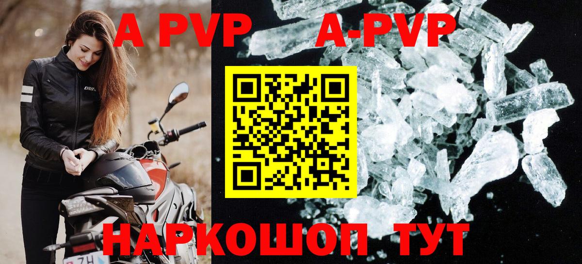 Alfa_PVP СК Ейск