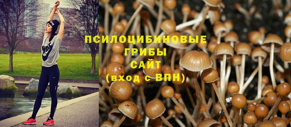 кристаллы Горнозаводск
