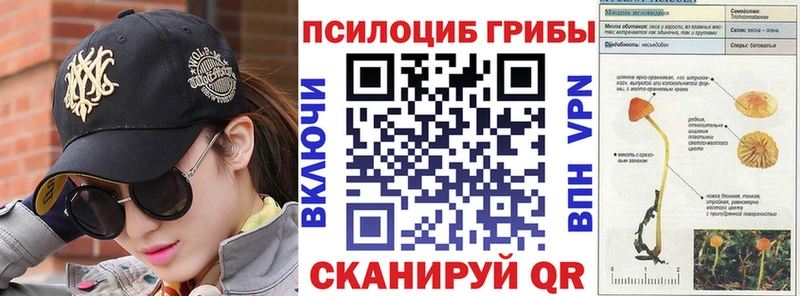 Псилоцибиновые грибы GOLDEN TEACHER  Ейск 