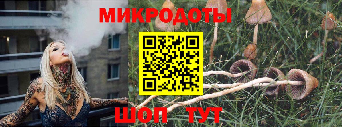 Ейск  Псилоцибиновые грибы мицелий  Вход с VPN 