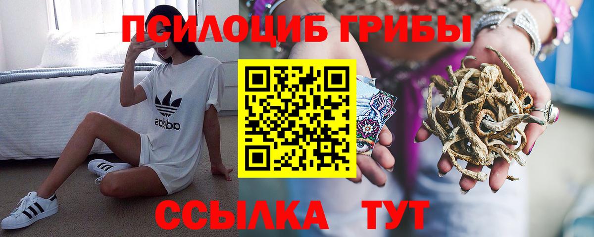 Псилоцибиновые грибы прущие грибы Ейск