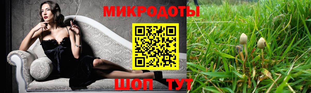 Псилоцибиновые грибы мицелий Ейск