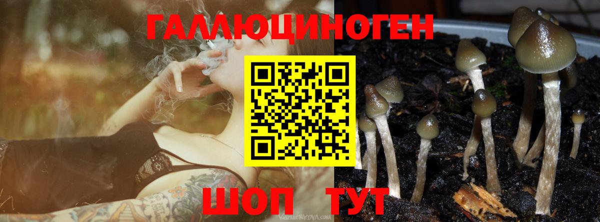 Псилоцибиновые грибы MAGIC MUSHROOMS  Ейск 